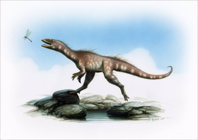 Dracoraptor