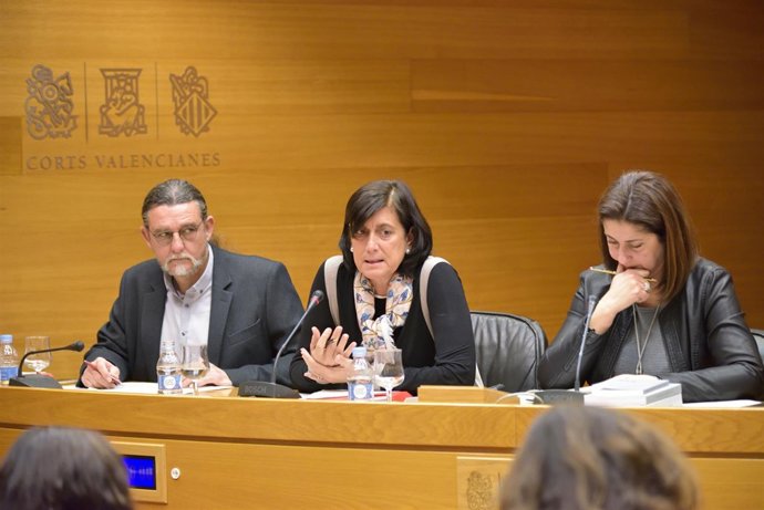Marisa Gracia en la comisión de investigación del metro