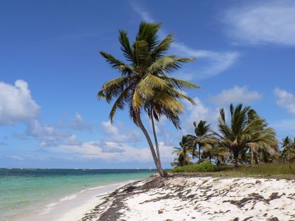 Republica Dominicana Las Mejores Playas En Un Verano Eterno