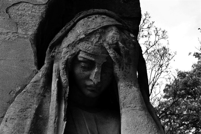 Muestra fotográfica