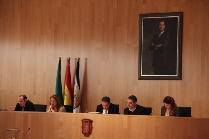 Pleno de enero de la Diputación de Málaga