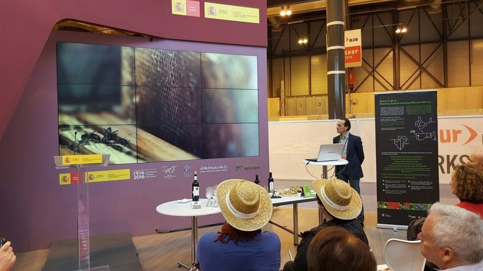 Presentación de la Reserva de la Biosfera Transfronteriza Meseta Ibérica