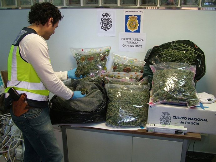 Dos detenidos por una plantación de marihuana en El Godall (Taragona)