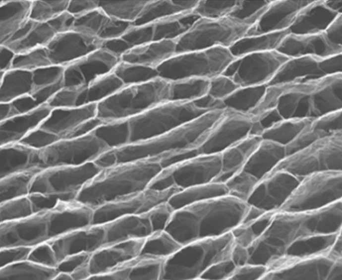 Elastómetro de grafeno