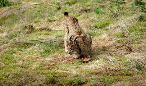 Cooperación y Desarrollo