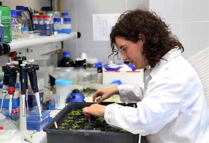 La profesora de la UMA Sonia Osorio 