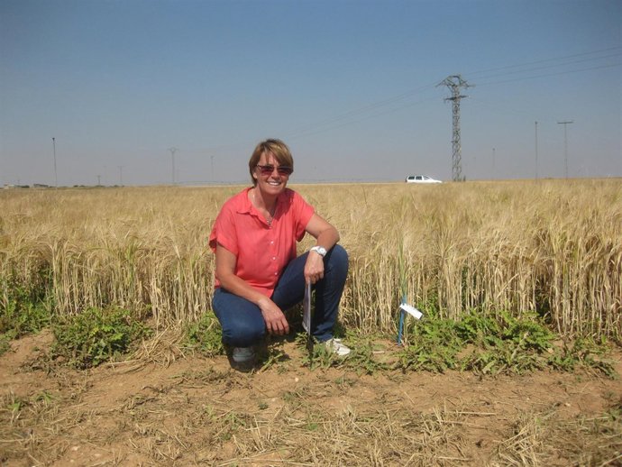 La tesis de Carmen Chocano Vañó