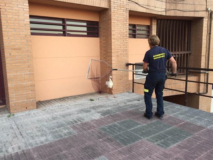 Los bomberos rescatando a la cigüeña