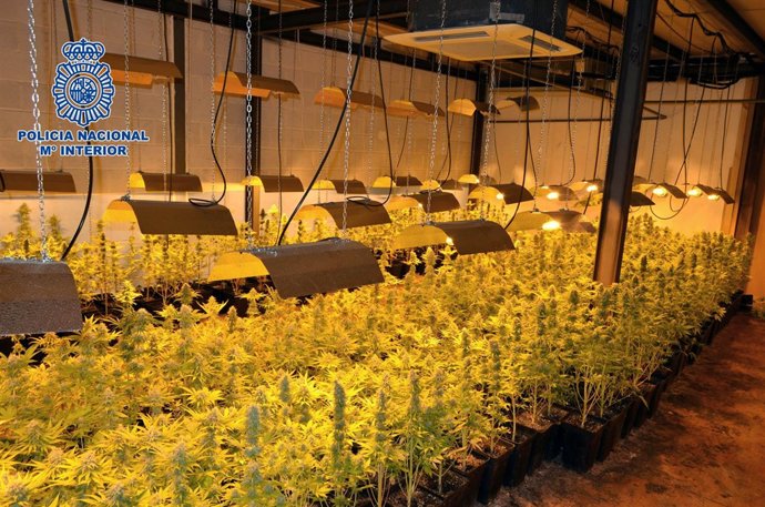 Vídeo de la noticia