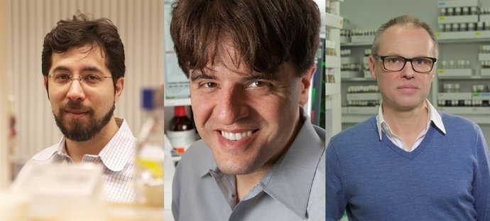 Edward Boyden, Karl Deisseroth y Gero Miesenböck. BBVA