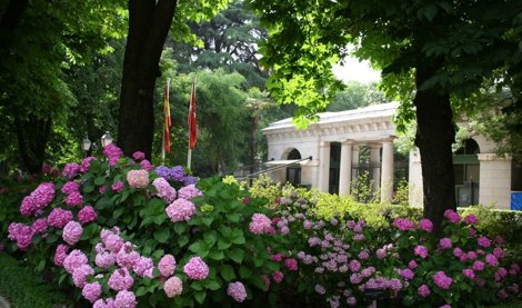 Cooperación y Desarrollo