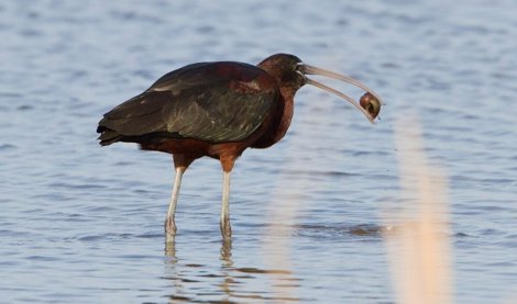 Cooperación y Desarrollo