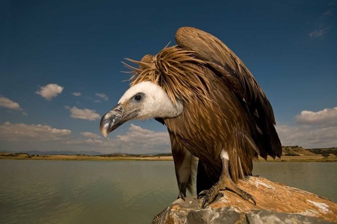 Una de las imágenes de Jorge Ruiz que integran esta exposición