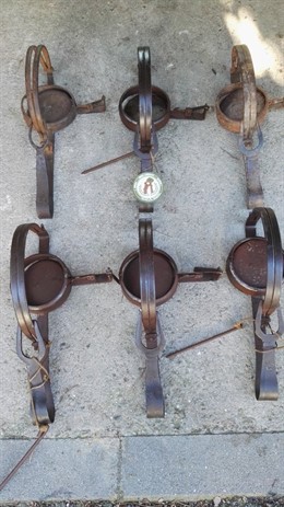 Los cepos incautados