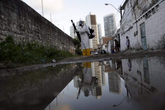 A municipal worker sprays insecticide at the neighborhood of Imbiribeira in Reci