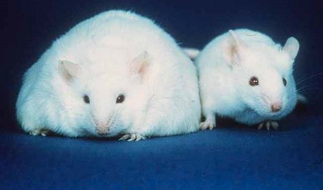 Cooperación y Desarrollo