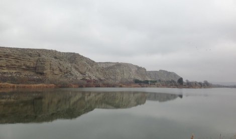 Cooperación y Desarrollo