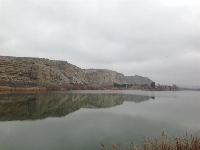 Día Mundial de los Humedales