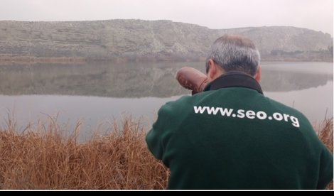 Cooperación y Desarrollo