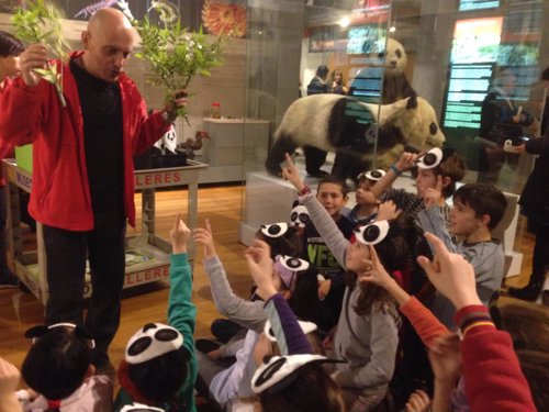 El Zoo de Madrid cede al Museo de Ciencias Naturales los ejemplares de Chu-Lin y