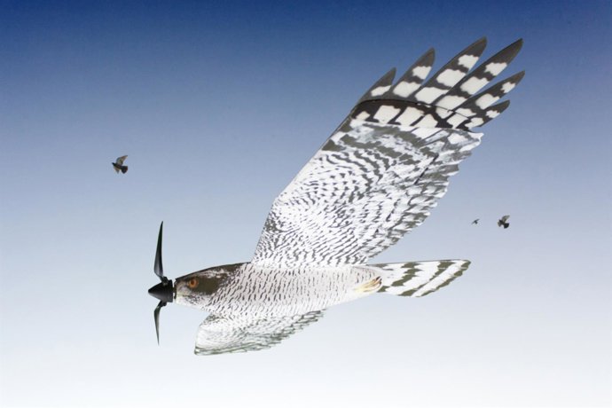 "Espantapájaros Del Futuro"