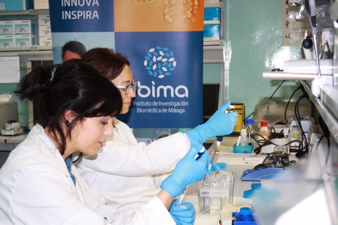 Investigacion Málaga 2015 IBIMA