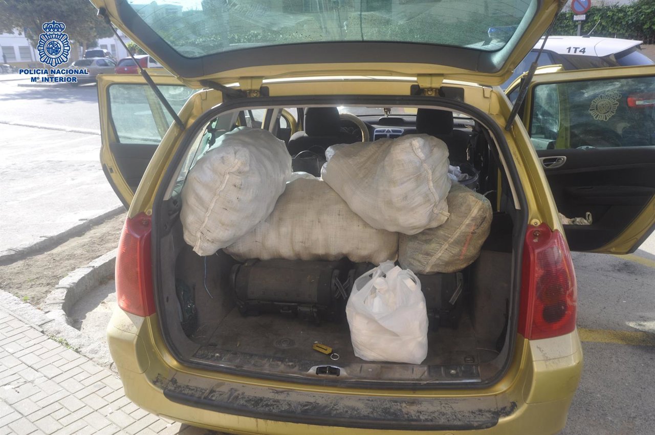 Aguacates intervenidos tras ser robados de una finca en Vélez-Málaga (Málaga)