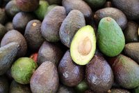 Aguacate, el oro verde mexicano que sólo Michoacán exporta a EEUU