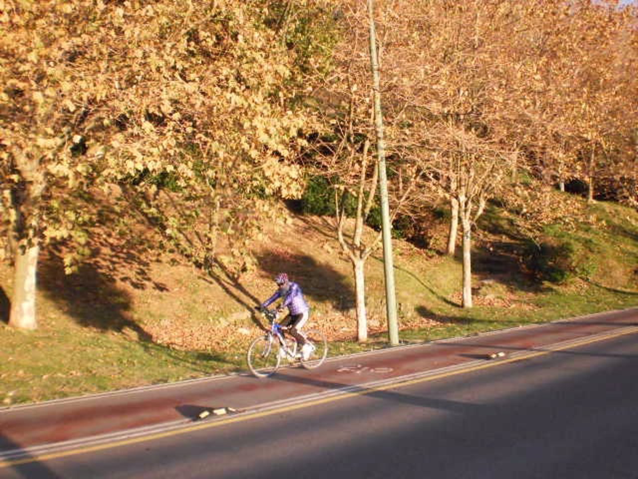 Bidegorri recorrido por un ciclista.