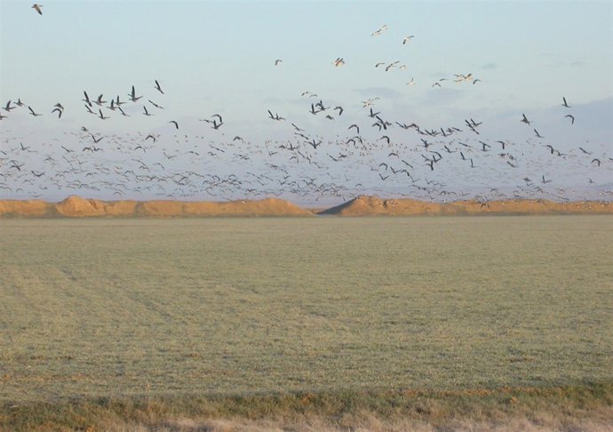 Casa del Parque de La Nava de Fuentes de Nava (Palencia)