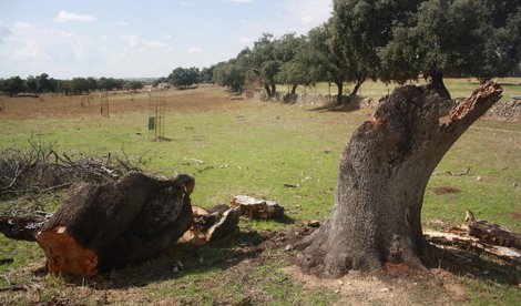 Cooperación y Desarrollo