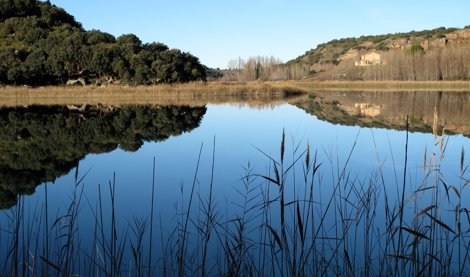 Cooperación y Desarrollo