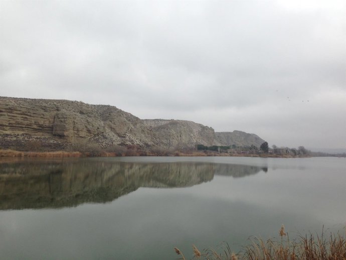 Día Mundial de los Humedales