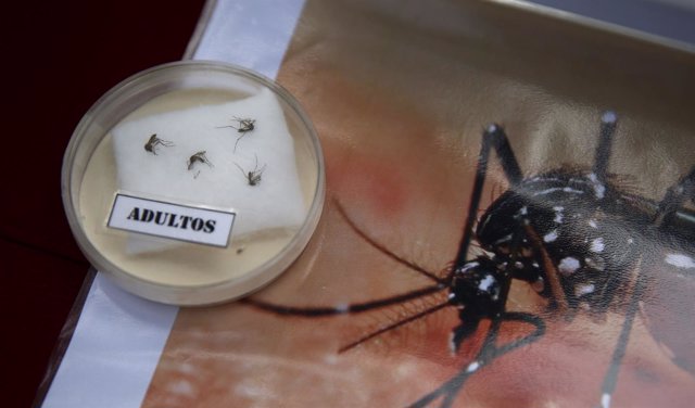 Campaña sobre el virus zika en Perú