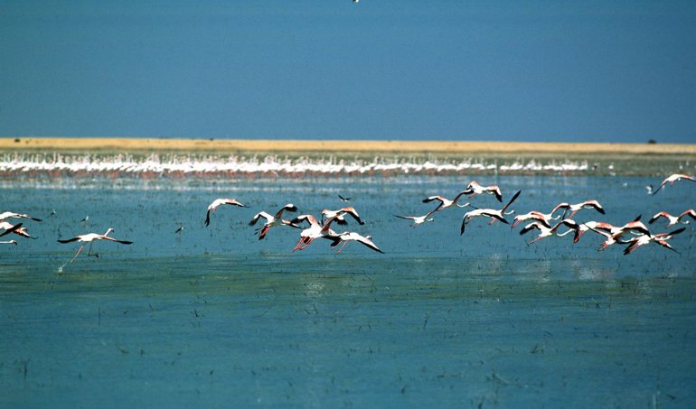 Cooperación y Desarrollo