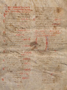 Manuscritos 