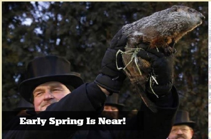 La marmota Phil no ha visto su sombra este 2 de febrero de 2016, primavera cerca