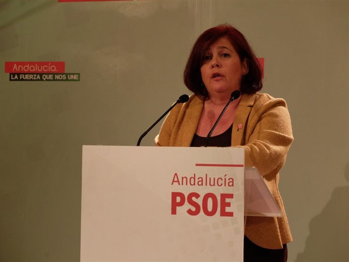 Elvira Ramón critica el "ninguneo" a Granada en materia de infraestructuras