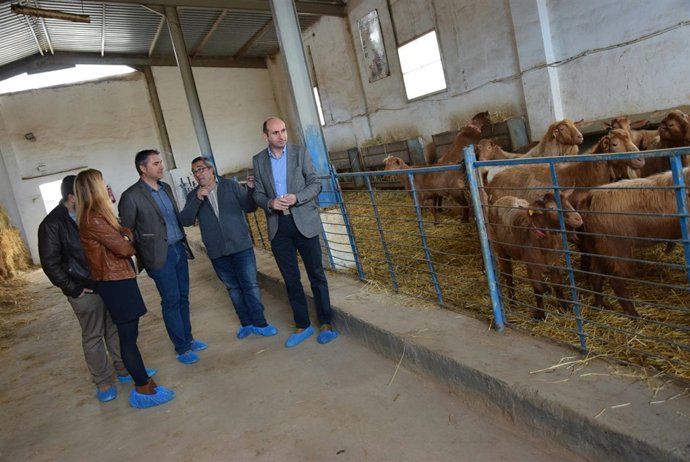 Conejo cabras psoe diputación inversión