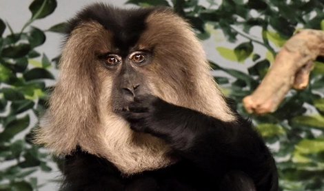 Cooperación y Desarrollo