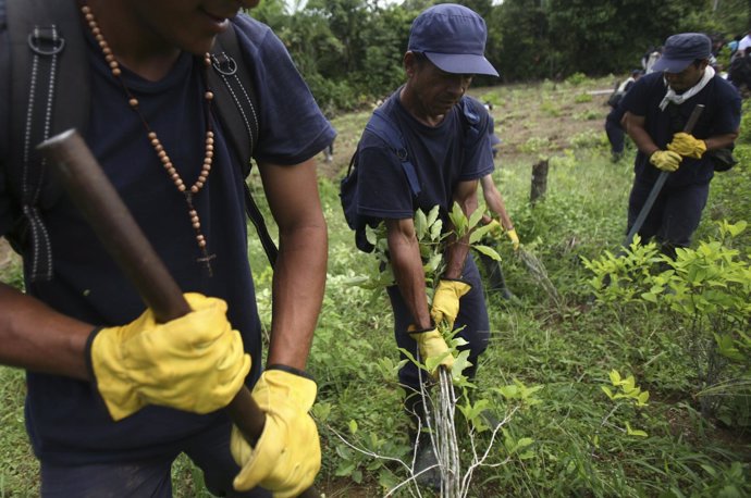 Campesinos colombianos