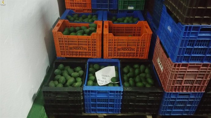 Aguacates intervenidos