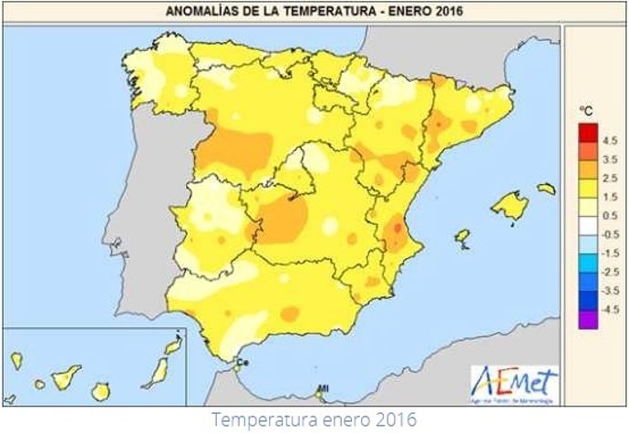 Enero fue un mes "extremadamente cálido" 