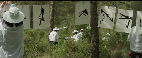 Las abejas firman para pedir la prohibición de los plaguicidas