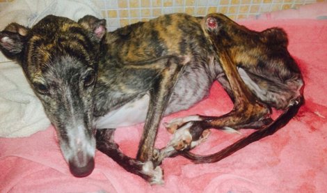 Cooperación y Desarrollo