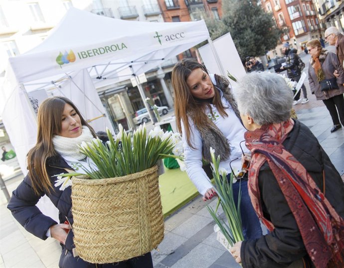 Iberdrola y la AECC entregan flores de iris blanco en el Día Contra el Cáncer