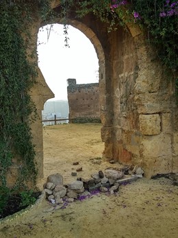 Escombros en la Torre Mocha.