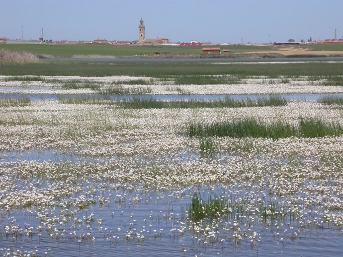 Imagen de un humedal en Castilla y León