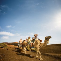 Turistas en camello