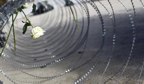 Cooperación y Desarrollo